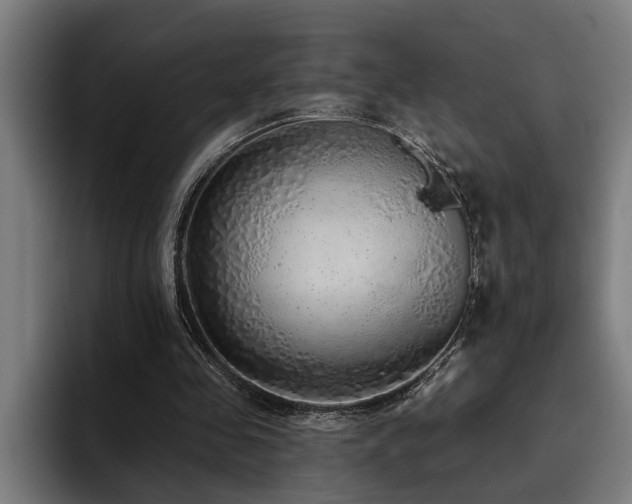 X0000093500341200710121517