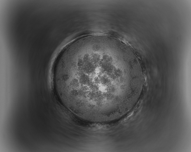 X0000093500343200710121517