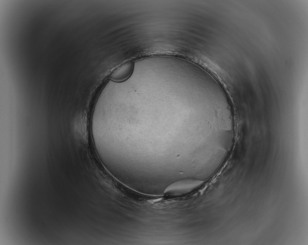 X0000093500345200710121517