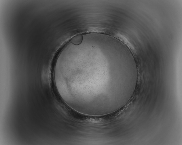 X0000093500346200710121517