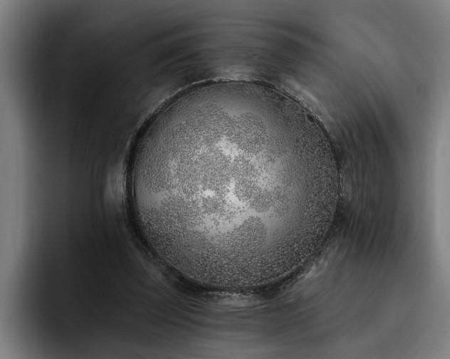 X0000093500347200710121517