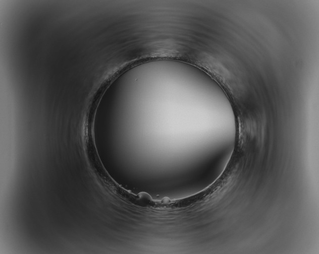 X0000093500348200710121517