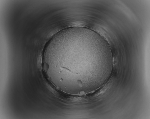 X0000093500349200710121517