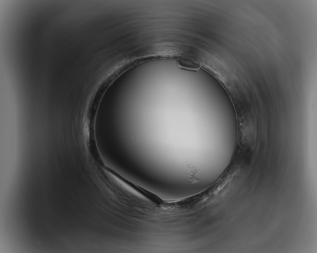 X0000093500350200710121517