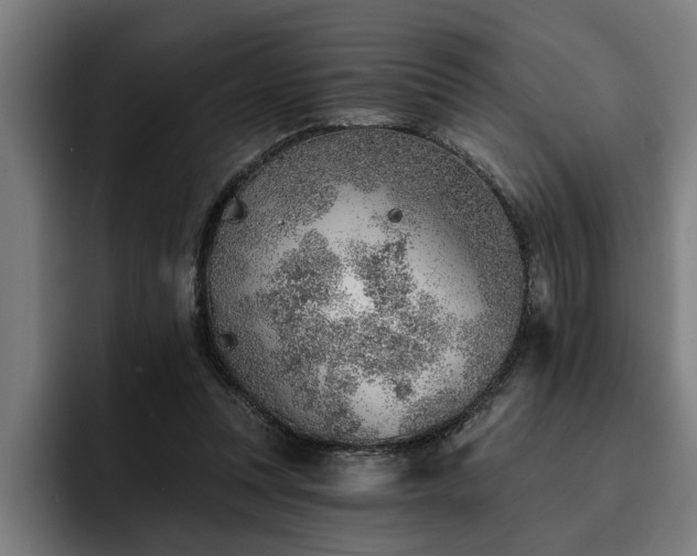 X0000093500351200710121517