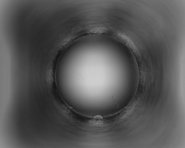 X0000093500354200710121517