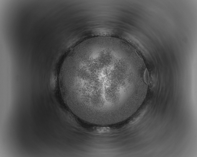 X0000093500355200710121517