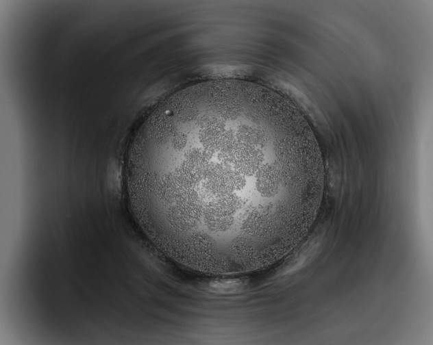 X0000093500357200710121517