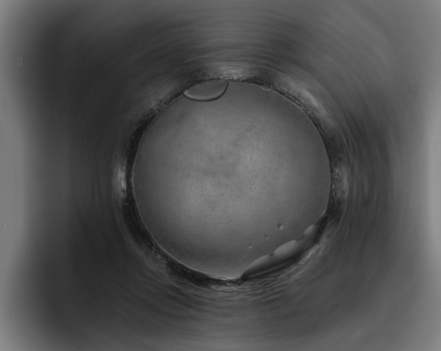 X0000093500358200710121517
