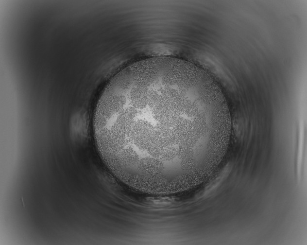 X0000093500359200710121517