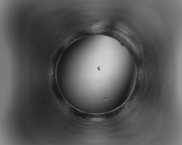 X0000093500360200710121517