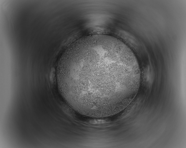 X0000093500361200710121517