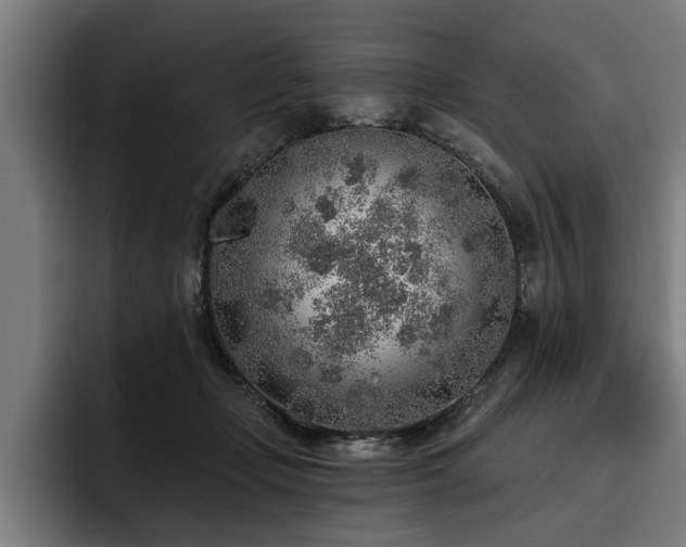 X0000093500365200710121517