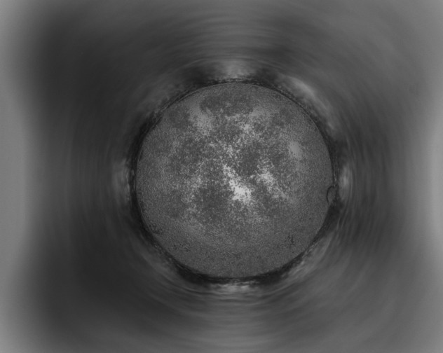 X0000093500366200710121517