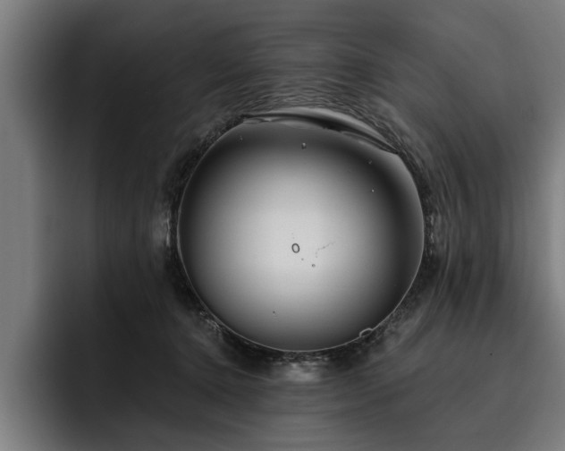 X0000093500368200710121517