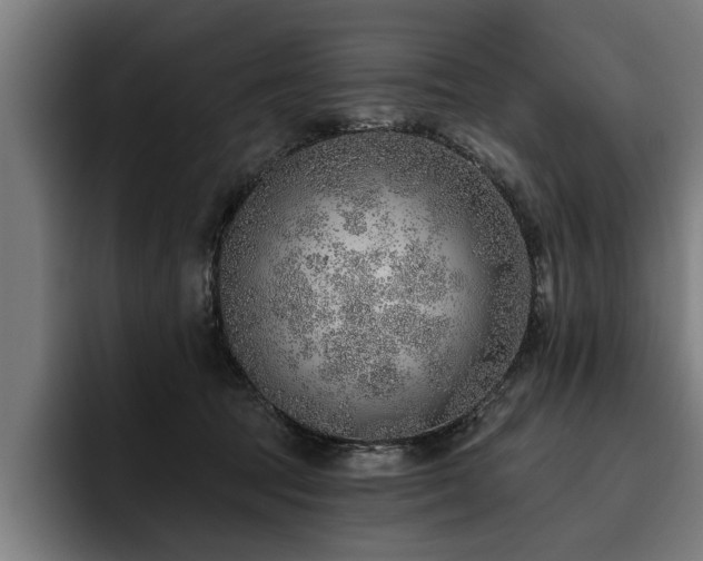 X0000093500369200710121517