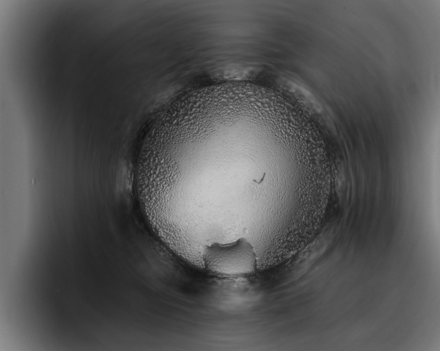 X0000093500374200710121517