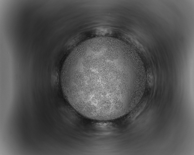X0000093500375200710121517