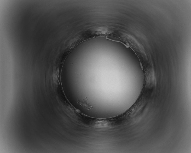 X0000093500376200710121517
