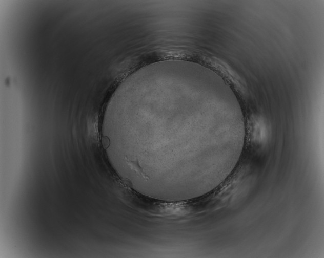 X0000093500377200710121517