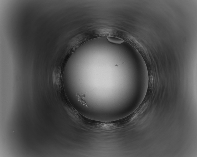 X0000093500379200710121517