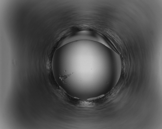 X0000093500380200710121517