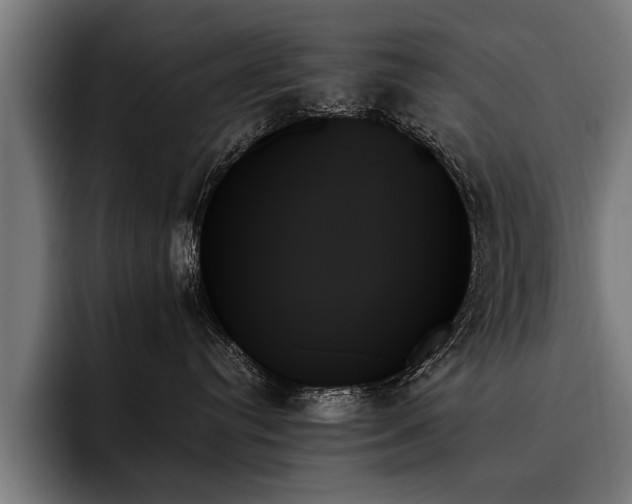 X0000093500384200710121518