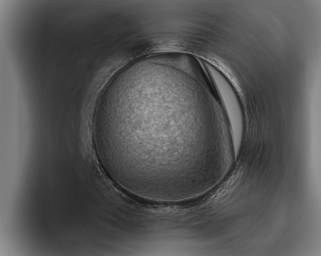 X0000093500385200710121517