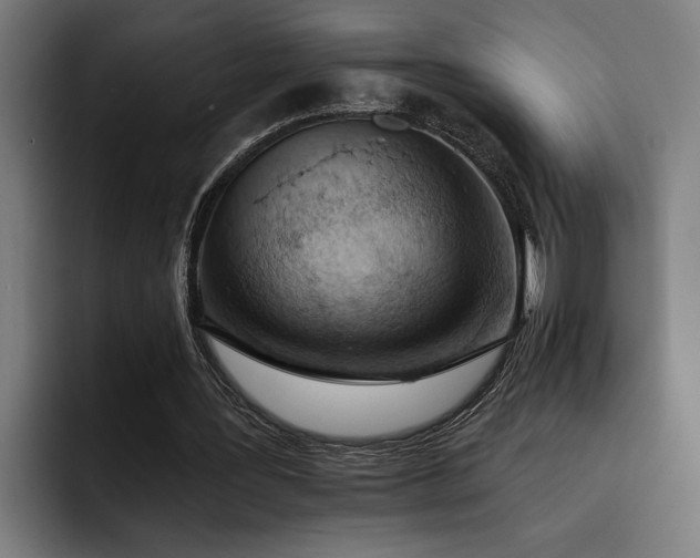 X0000093500387200710121517