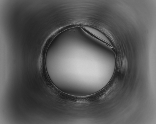 X0000093500388200710121517