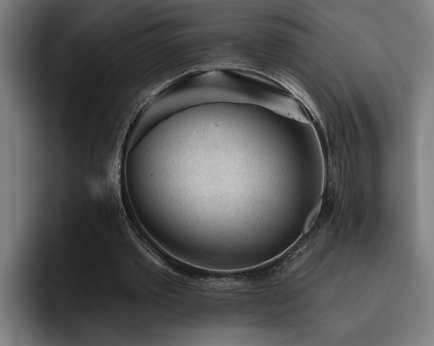 X0000093500389200710121517