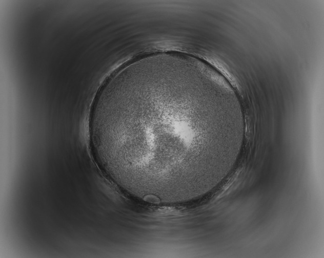 X0000093500390200710121517