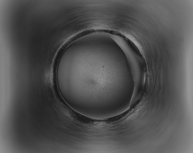 X0000093500391200710121517
