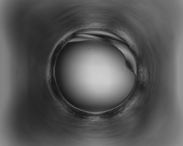 X0000093500392200710121517