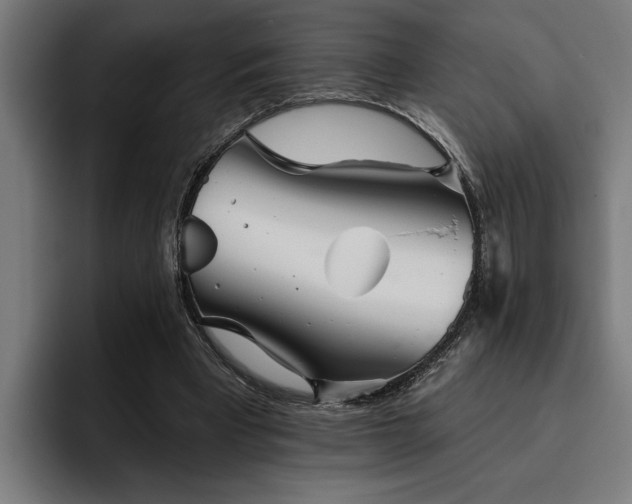 X0000093500393200710121517