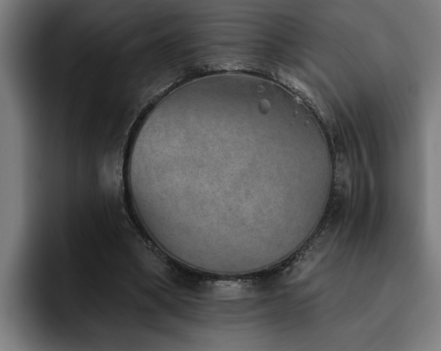 X0000093500394200710121517