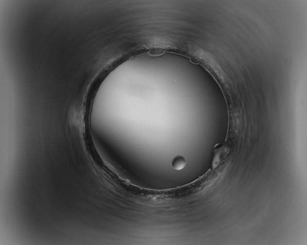 X0000093500395200710121517