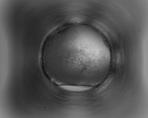 X0000093500399200710121517