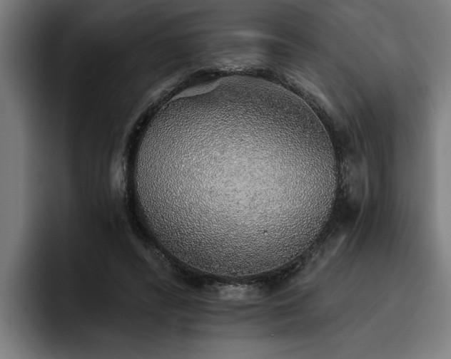 X0000093500400200710121517