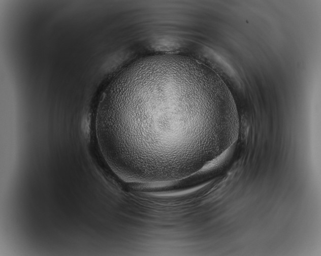 X0000093500404200710121517