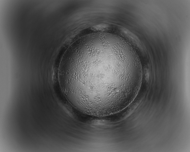 X0000093500408200710121517