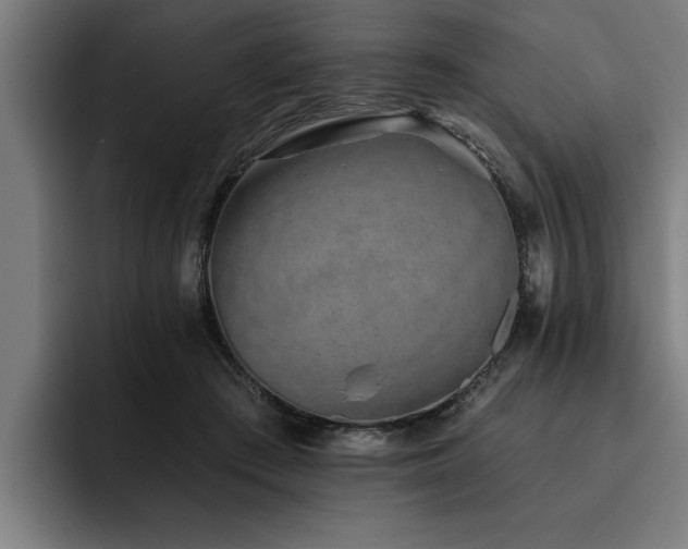 X0000093500409200710121517