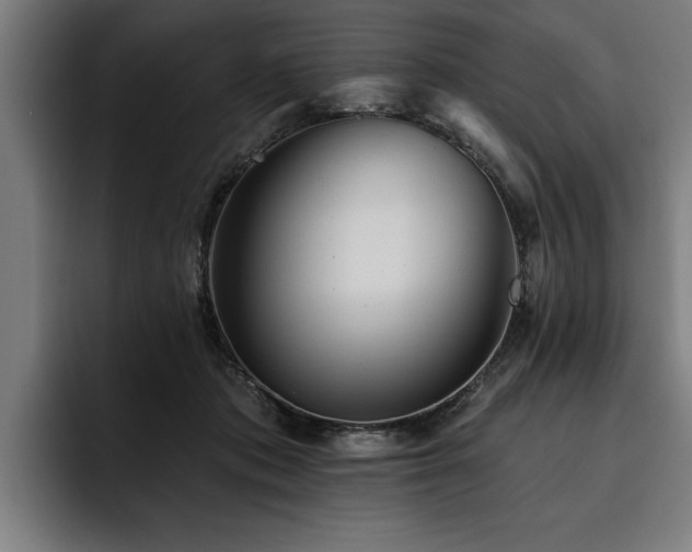 X0000093500413200710121517