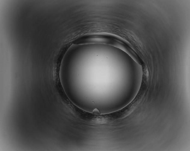X0000093500416200710121517