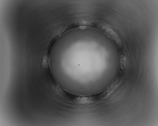 X0000093500419200710121517