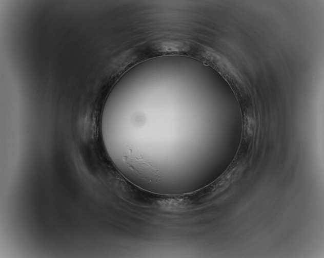 X0000093500422200710121517