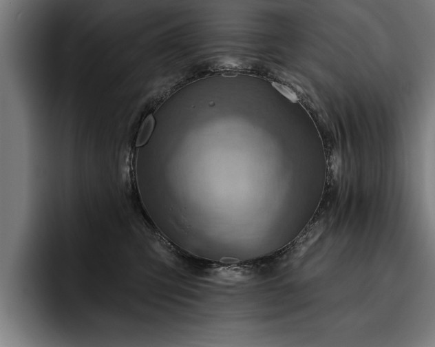 X0000093500423200710121517