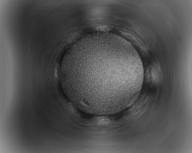 X0000093500424200710121516