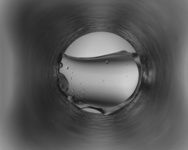 X0000093500425200710121516