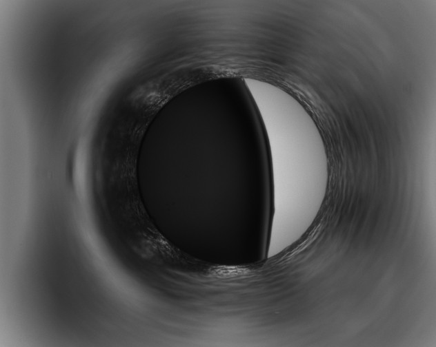 X0000093500429200710121516